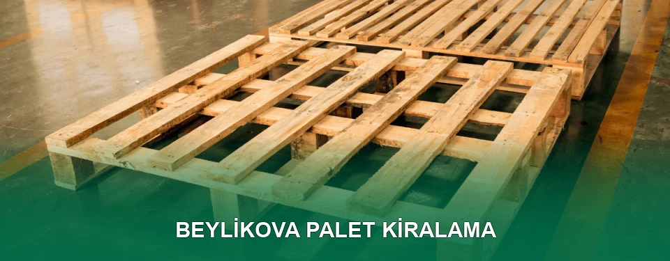 Beylikova Palet Kiralama Hizmeti